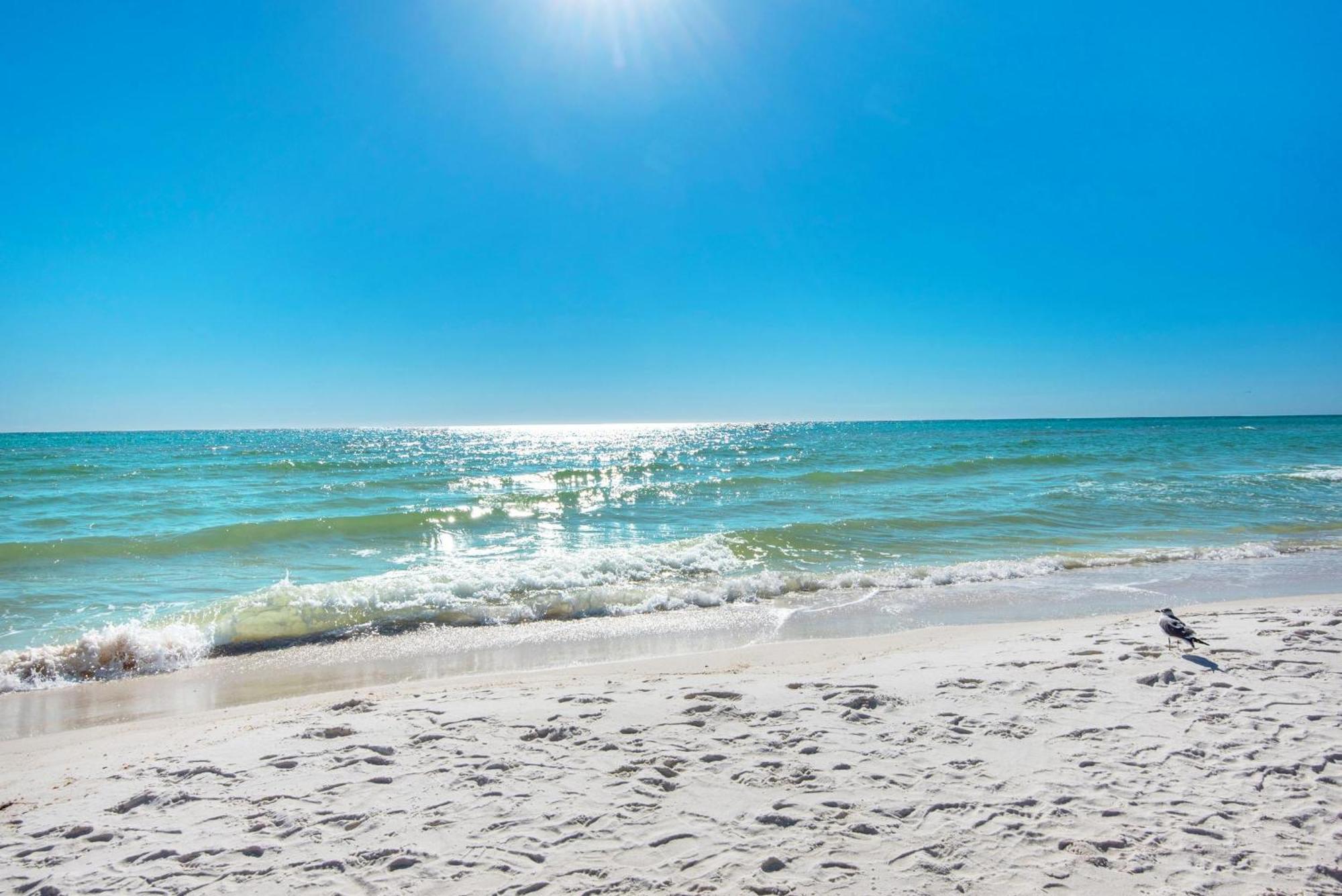 Shores Of Panama 1117 Panama City Beach Bagian luar foto